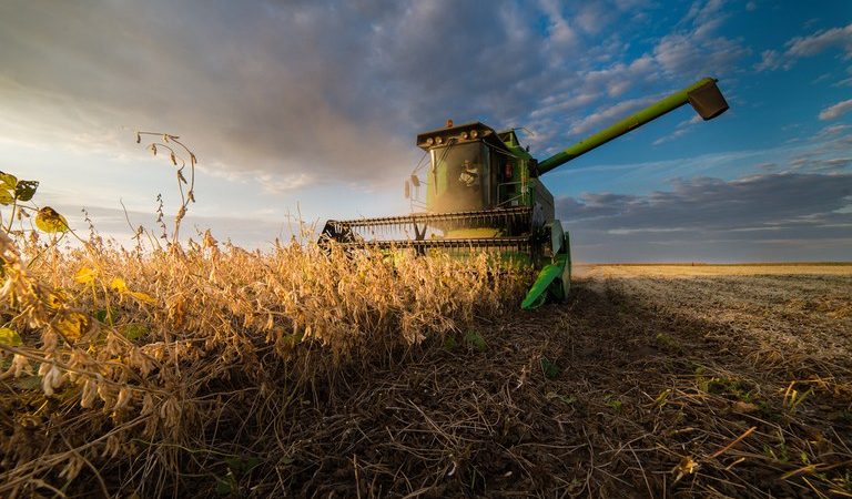 Nova lei permite mais liberdade e segurança para a contratação de crédito rural