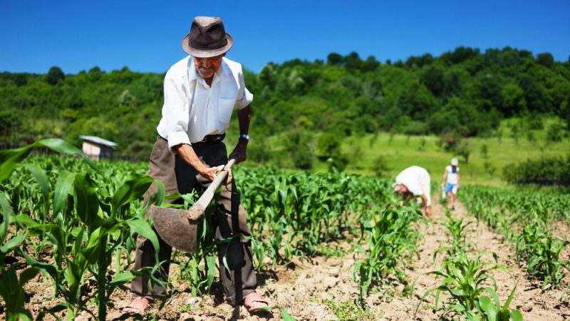 CMN facilita renegociação de dívidas de produtores rurais
