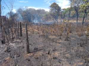 Crime Ambiental: Em Paraíso, homem ateia fogo e destrói mais de 50 mil metros quadrados de vegetação