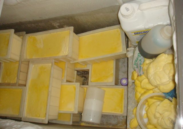 Adapec realiza operação de combate ao comércio clandestino de produtos lácteos em Augustinópolis