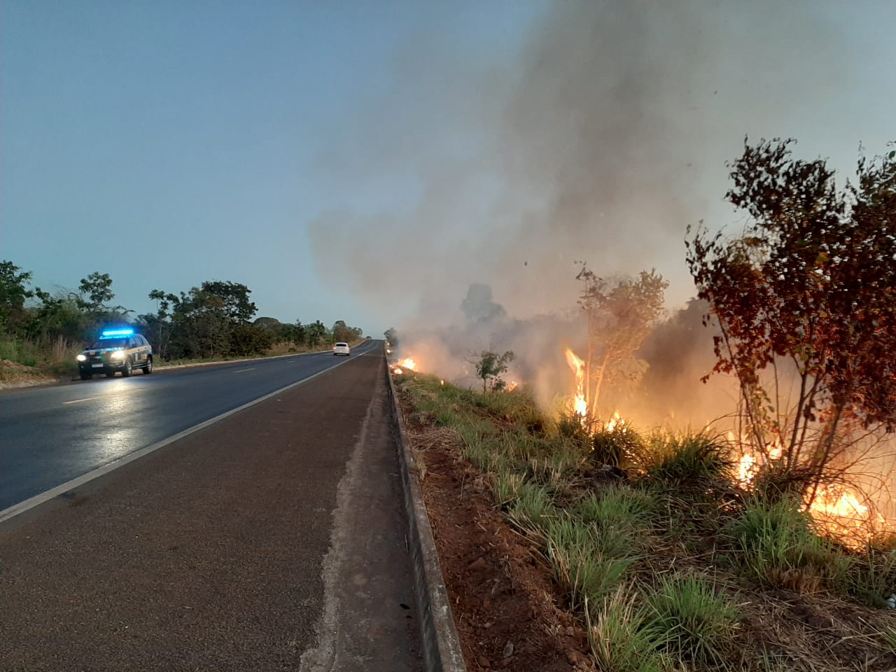 PRF flagra homem provocando queimadas às margens da BR 153