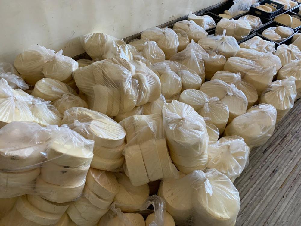 3 toneladas de queijos clandestinos com risco de contaminação são apreendidos em Paraíso