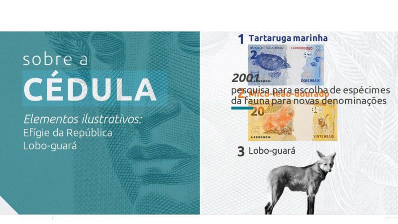 Banco Central anuncia lançamento da nota de R$ 200 com imagem de lobo-guará na cédula