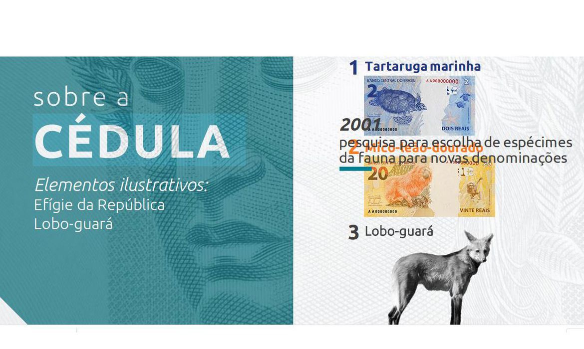 Banco Central anuncia lançamento da nota de R$ 200 com imagem de lobo-guará na cédula