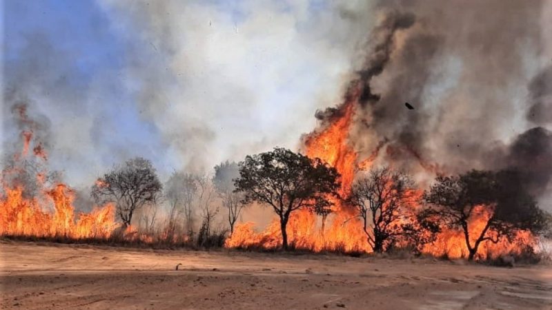 Incêndio florestal destrói mais de 900 mil metros² de terreno próximo ao Detran e Praia das Arnos em Palmas