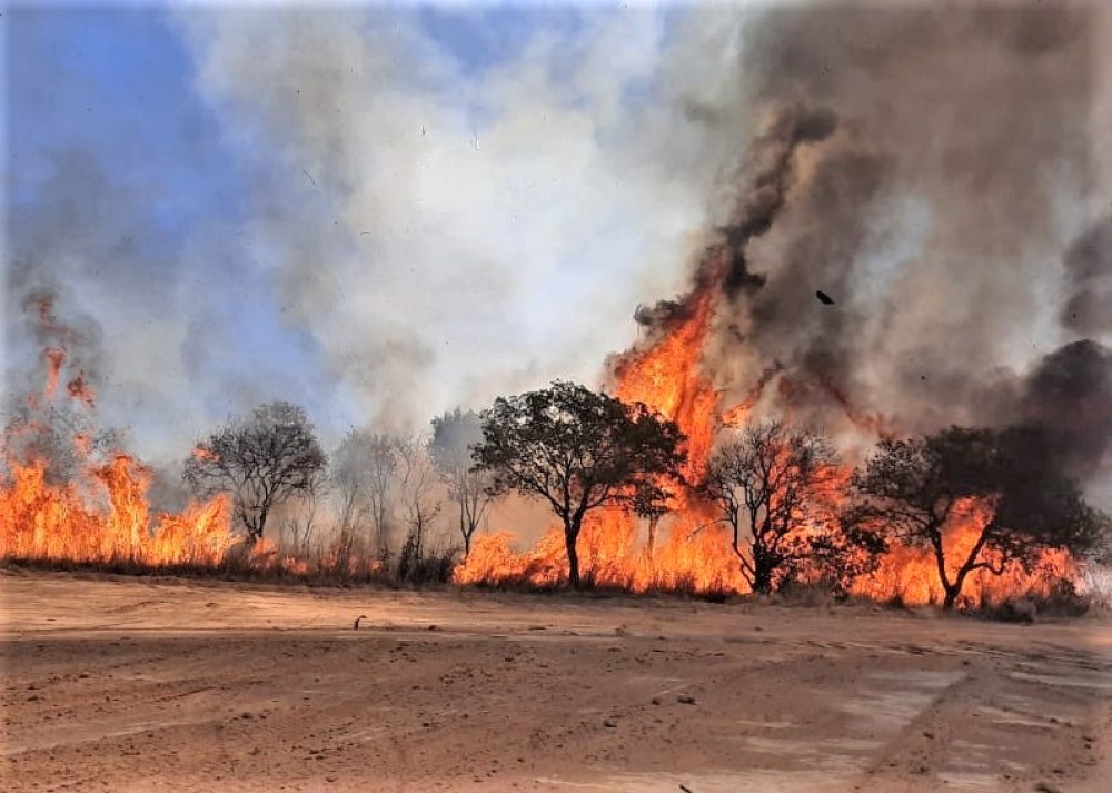 Incêndio florestal destrói mais de 900 mil metros² de terreno próximo ao Detran e Praia das Arnos em Palmas