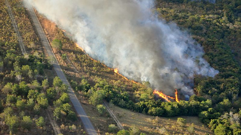 Estado solicita Forças Armadas para o combate às queimadas florestais; Tocantins possui 4.049 focos de incêndio em 2020