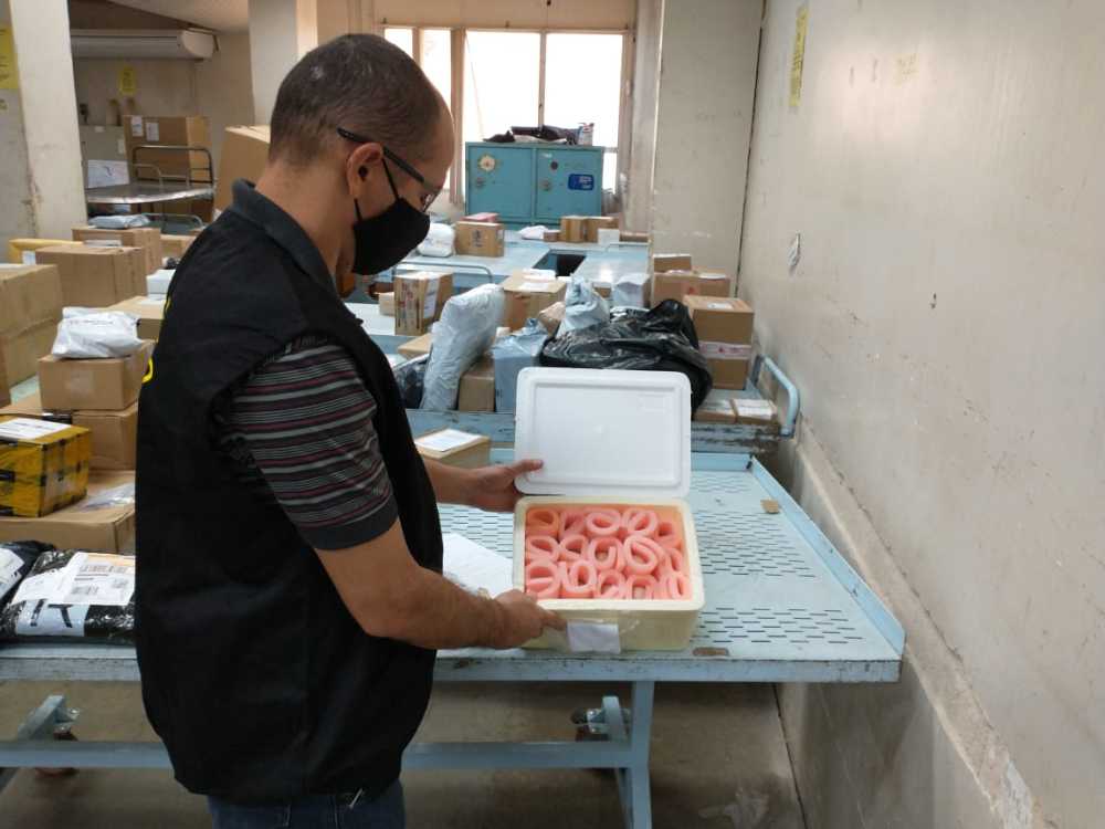 Ovos férteis enviados de forma ilegal via correios são apreendidos em Palmas