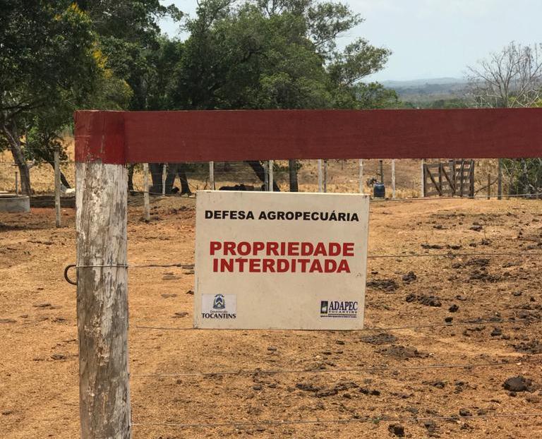Adapec interdita propriedade em Babaçulândia por suspeita de uso de cama de frango na alimentação de bovinos