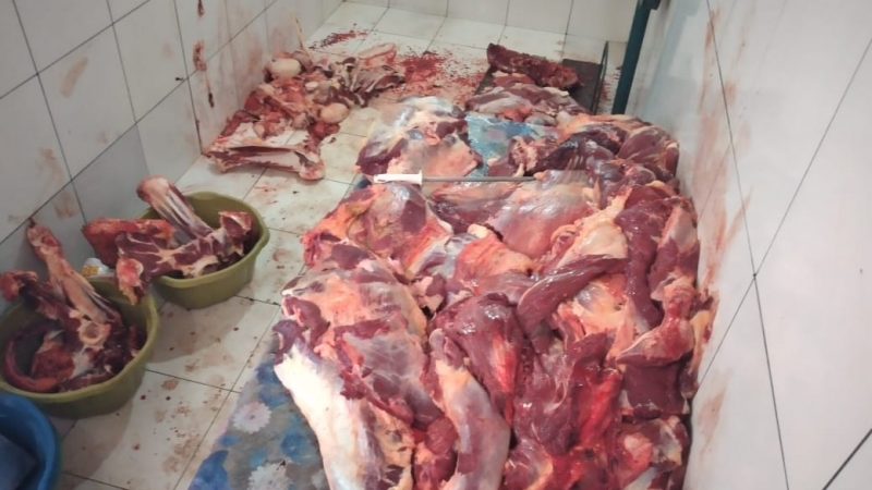 395 kg de carnes clandestinas impróprias para consumo são apreendidas em Itacajá