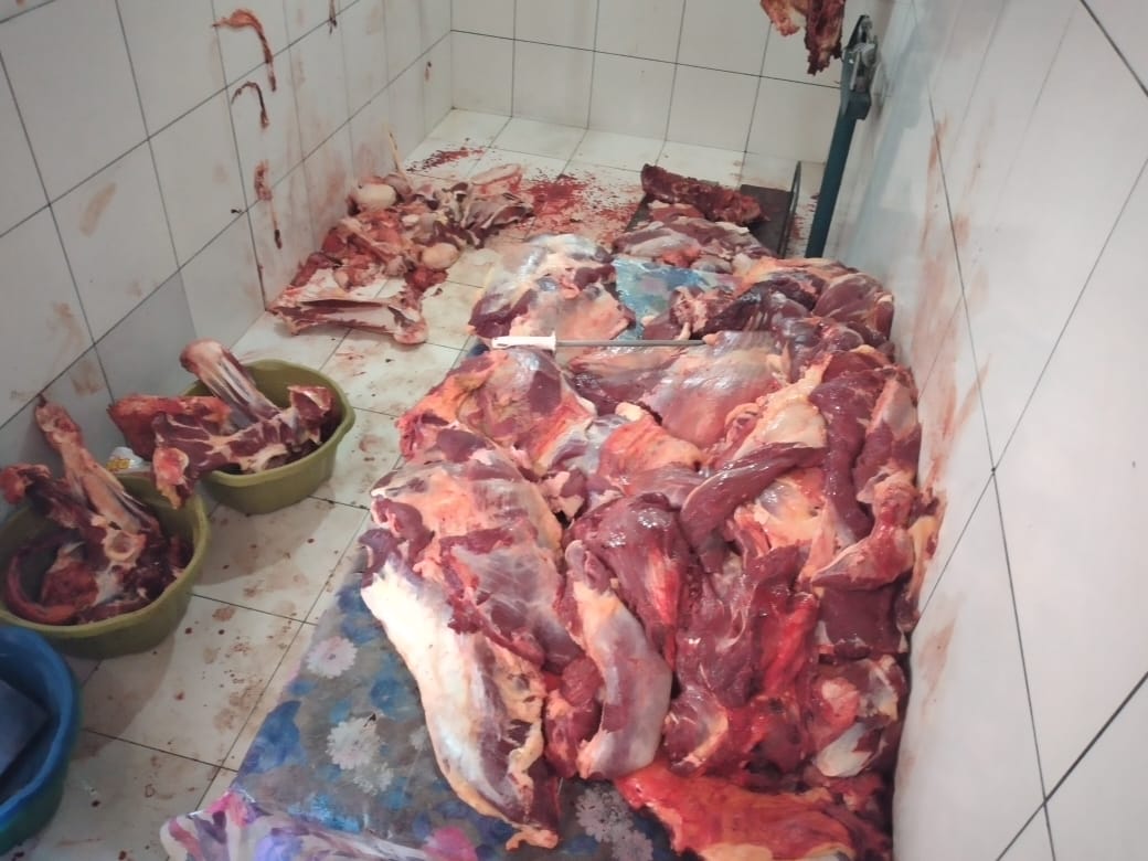 395 kg de carnes clandestinas impróprias para consumo são apreendidas em Itacajá