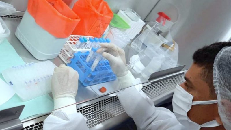 Laboratório para testagem molecular da covid-19 em Araguaína é estruturado e equipe inicia treinamento
