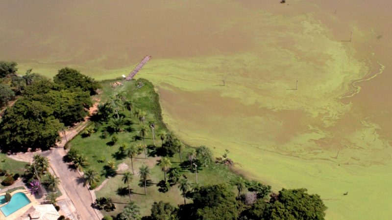 BRK Ambiental é multada em mais de R$ 8 milhões por lançar efluentes de esgoto no Lago de Palmas