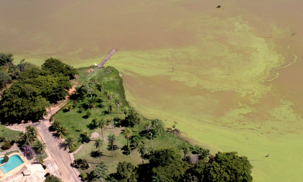 BRK Ambiental é multada em mais de R$ 8 milhões por lançar efluentes de esgoto no Lago de Palmas