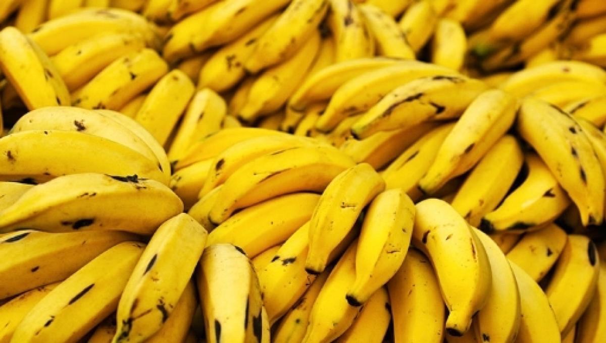 Preços da maçã, banana e melancia têm forte alta em dezembro aponta Conab