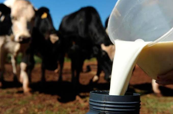 Pequenos produtores reivindicam melhoria no preço do litro de leite