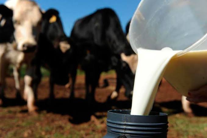 Pequenos produtores reivindicam melhoria no preço do litro de leite