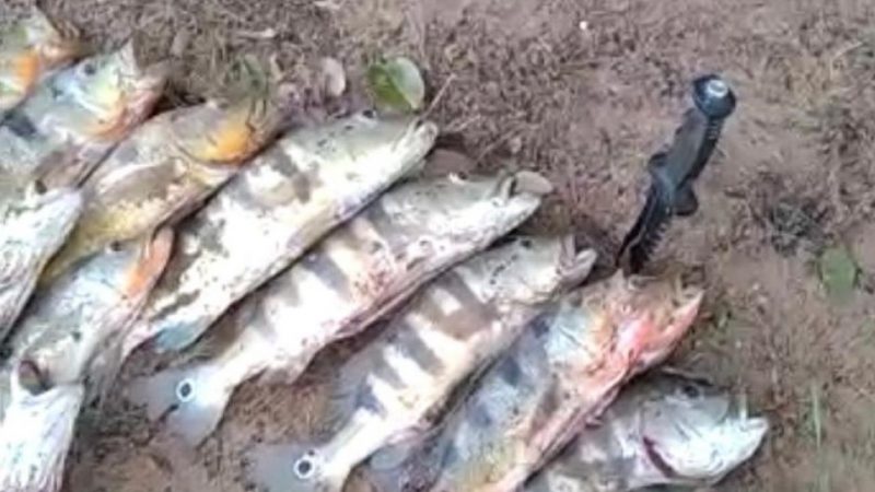 Homem é multado após postar vídeo praticando pesca ilegal
