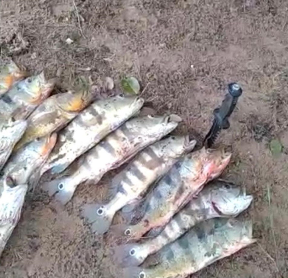 Homem é multado após postar vídeo praticando pesca ilegal