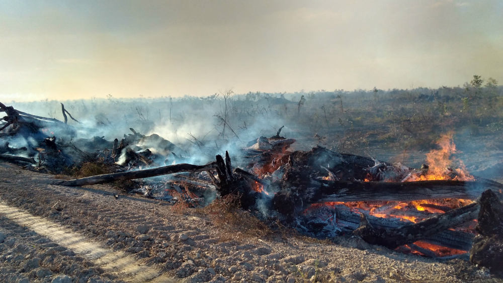 Naturatins notifica propriedades rurais que mais registraram queimadas nos últimos dois anos