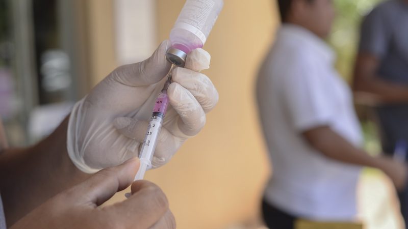 Campanha de vacinação contra a Raiva é iniciada na zona rural de Palmas