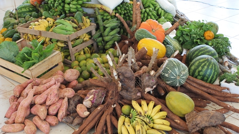 Prefeitura de Porto Nacional abre edital para aquisição de alimentos da agricultura familiar para unidades escolares