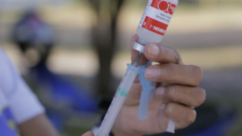 Vacinação antirrábica continua nesta semana em Gurupi