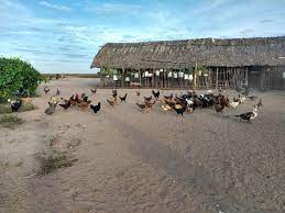Ameaças e violência na Gleba Tauá, PT Tocantins emite nota sobre violações e pede ação das autoridades