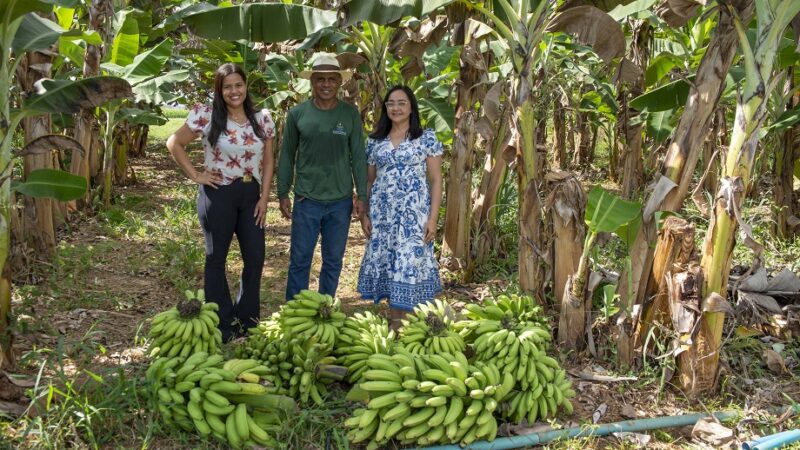 Em Palmas, Fazendinha do Calor Humano faz entrega de bananas para reforçar alimentação da rede de ensino