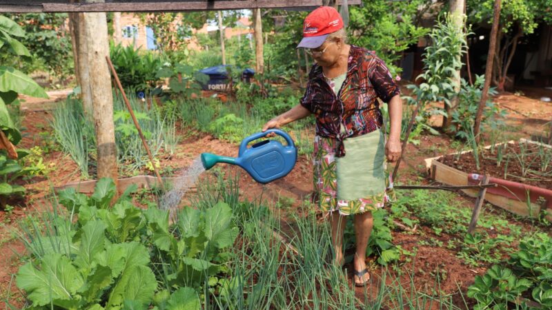 “Além de fazer uma renda extra, eu ajudo outras pessoas”, conta horticultora de projeto social de Araguaína