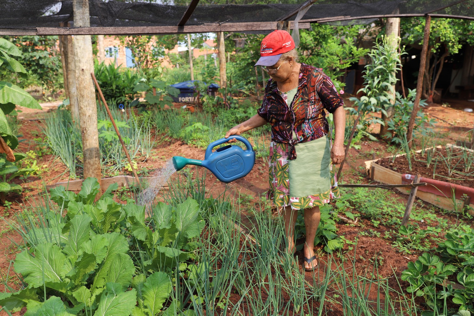 “Além de fazer uma renda extra, eu ajudo outras pessoas”, conta horticultora de projeto social de Araguaína