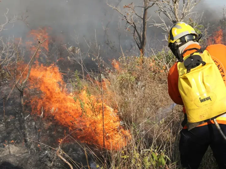 QUEIMADAS: Brasil registra 184 mil focos; estados atuam no combate aos incêndios