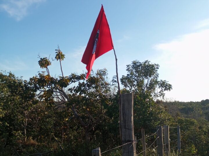 MST no TO monta acampamento e retoma área invadida e grilada em terras da União